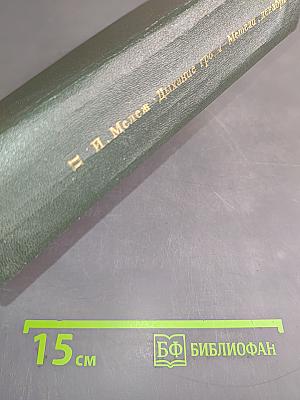 Дыхание грозы. Метели, декабрь. Романы из полесской хроники