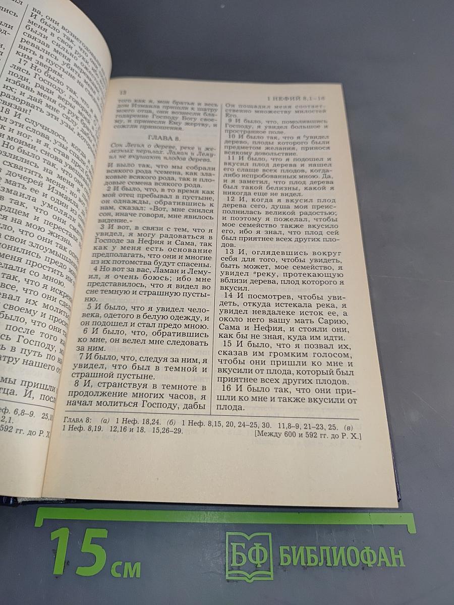 Книга Мормона. Новые Свидетельства об Иисусе Христе