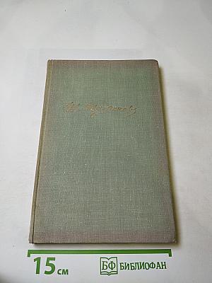 Собрание сочинений. Том восьмой. Повести и рассказы 1870-1882