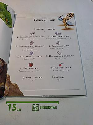 Живая природа