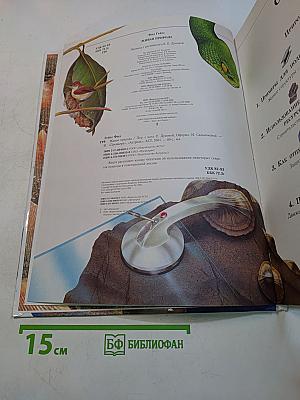 Живая природа