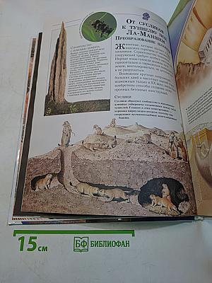 Живая природа