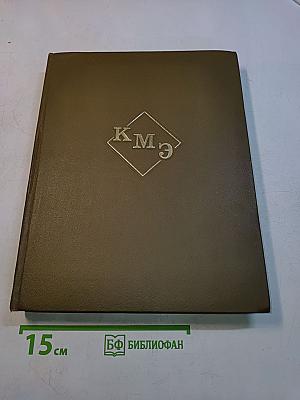 Краткая медицинская энциклопедия. Том 3. Рубец - Ящур. Приложения и указатель