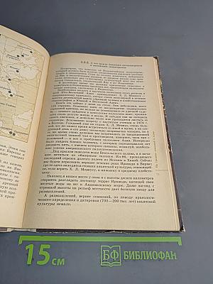 Древнейшие страницы истории человечества
