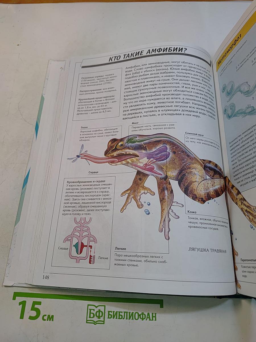 Большая книга эрудита