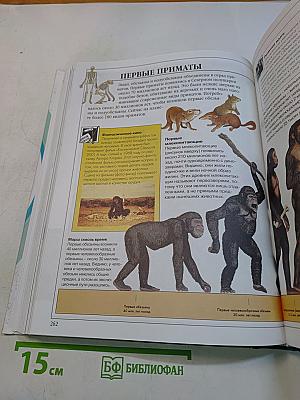 Большая книга эрудита