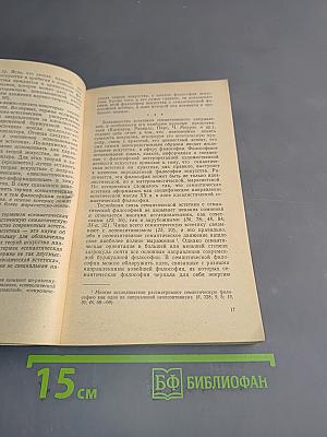 Семантическая философия искусства
