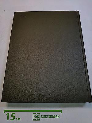 Большой немецко-русский словарь. Том II. L-Z