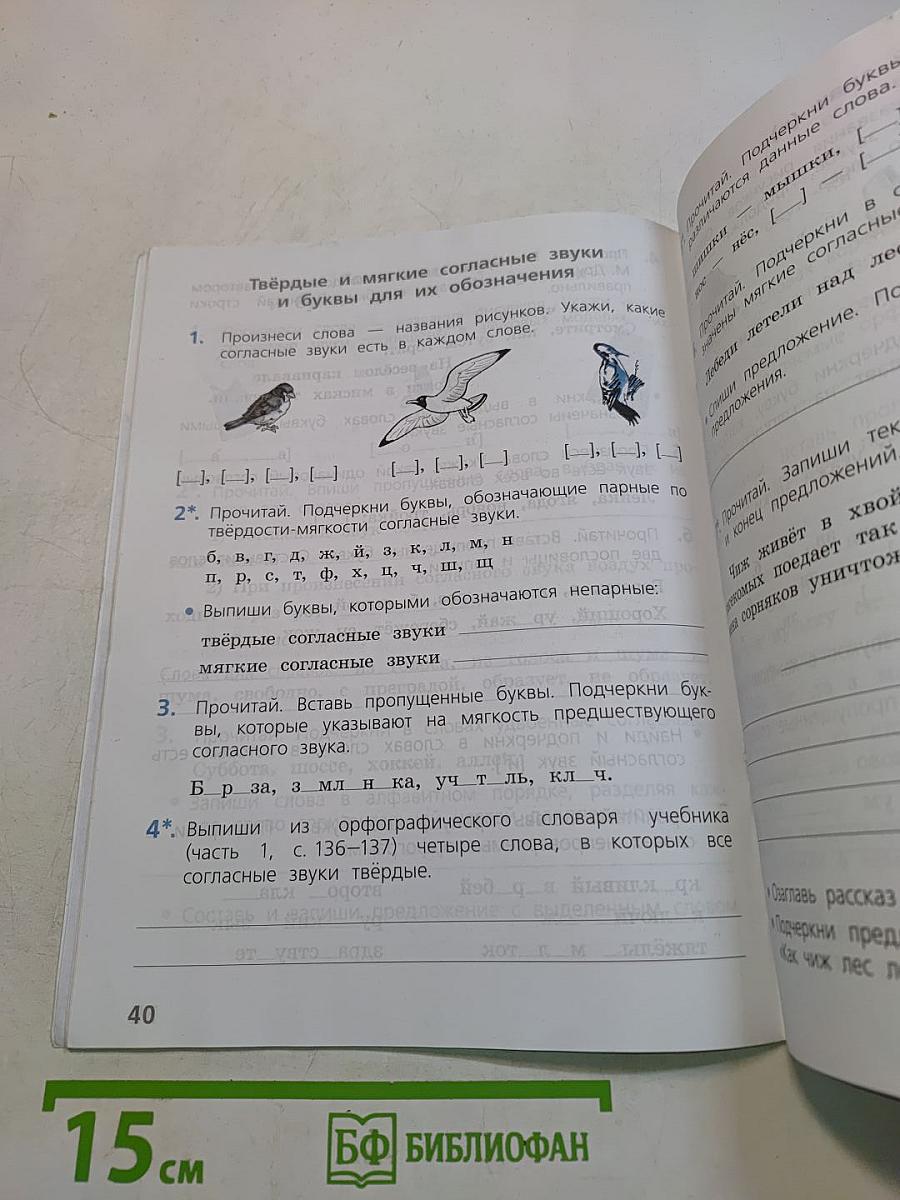 Русский язык. Проверочные работы. 2 класс