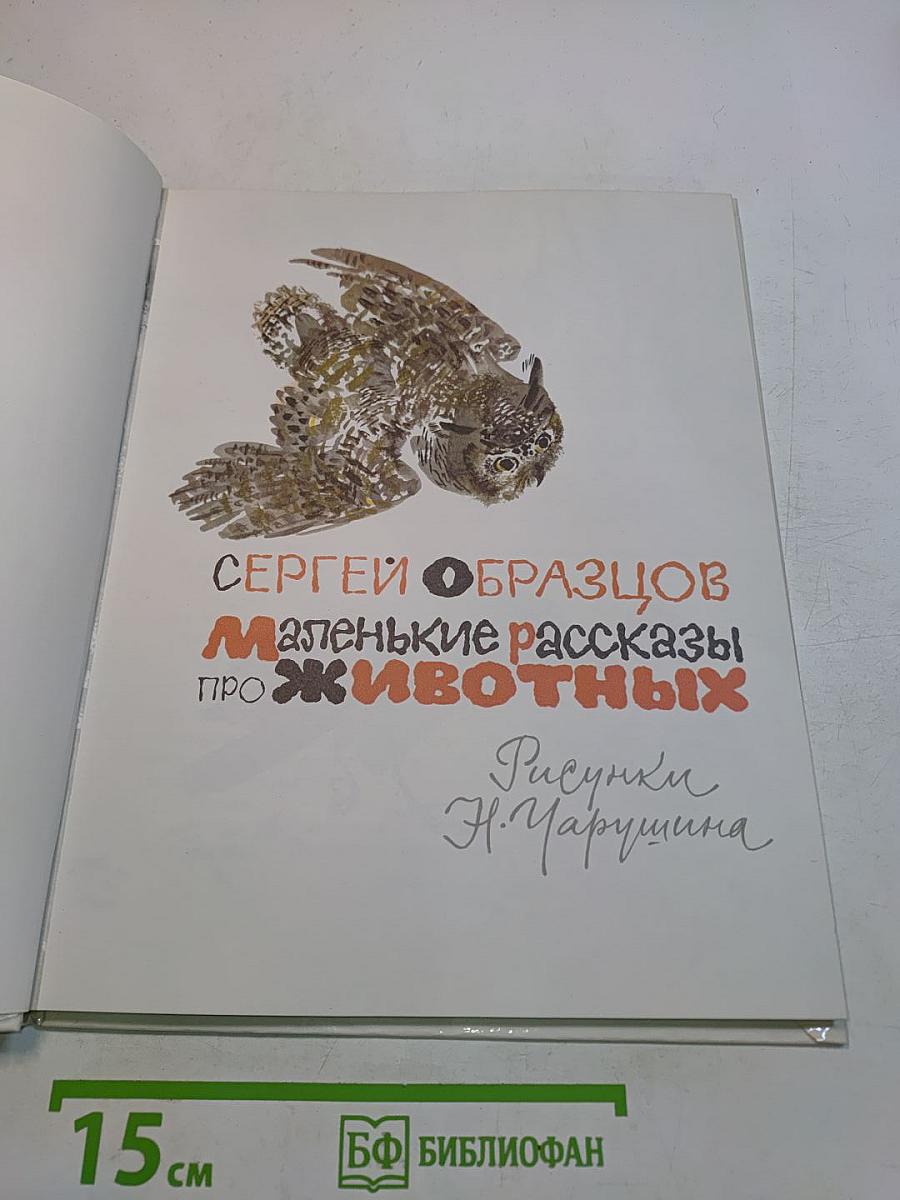Маленькие рассказы про животных
