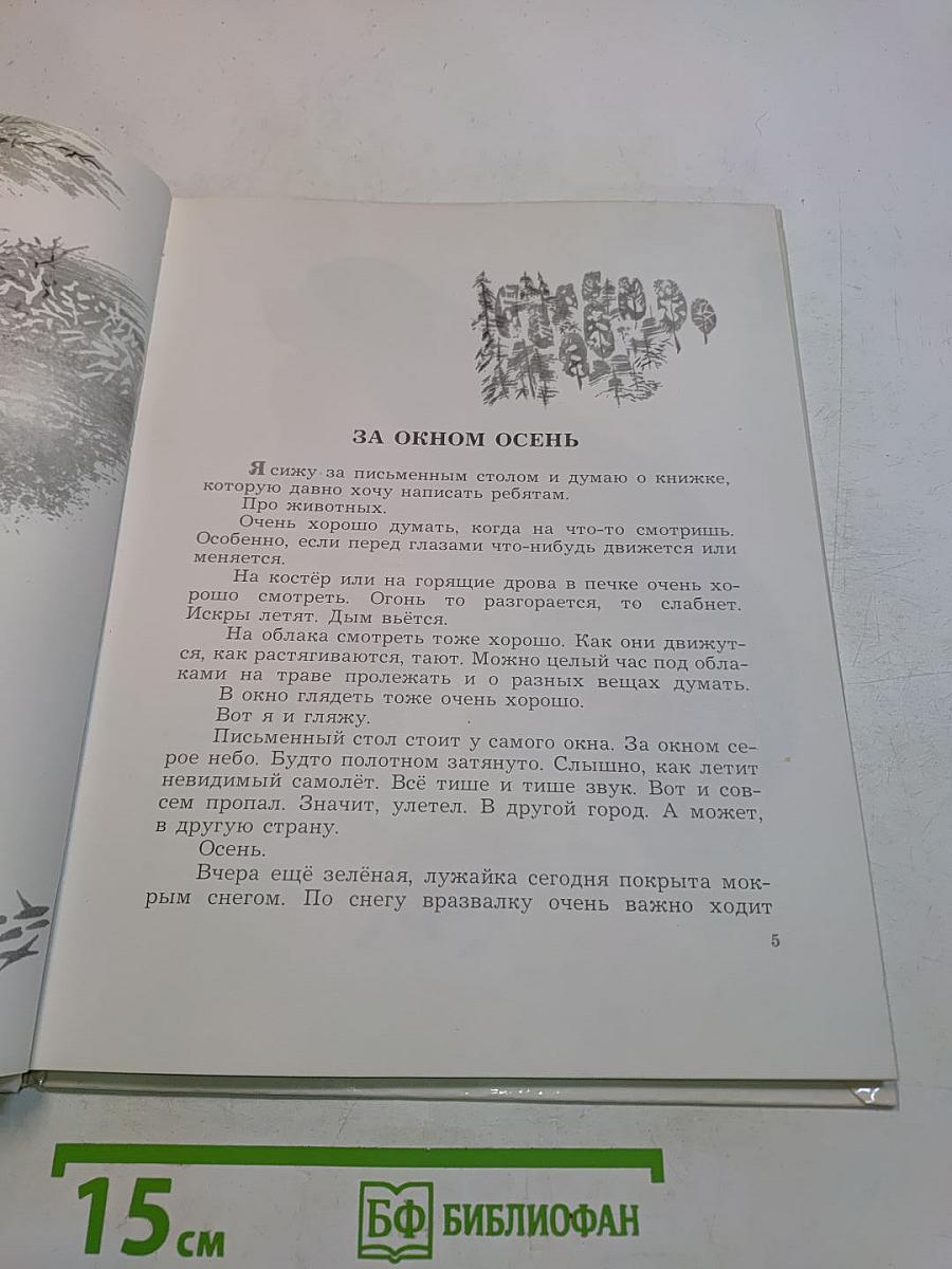 Маленькие рассказы про животных