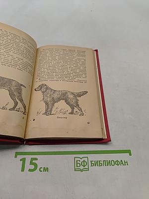 Охота (карманный справочник)