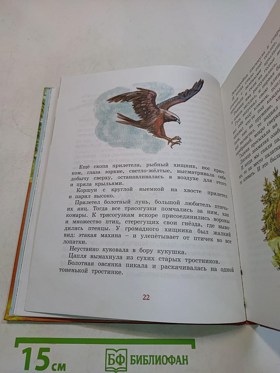 Лисичкин хлеб