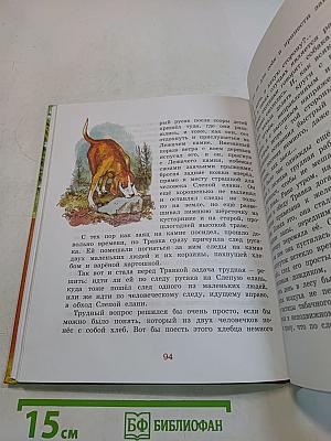 Лисичкин хлеб
