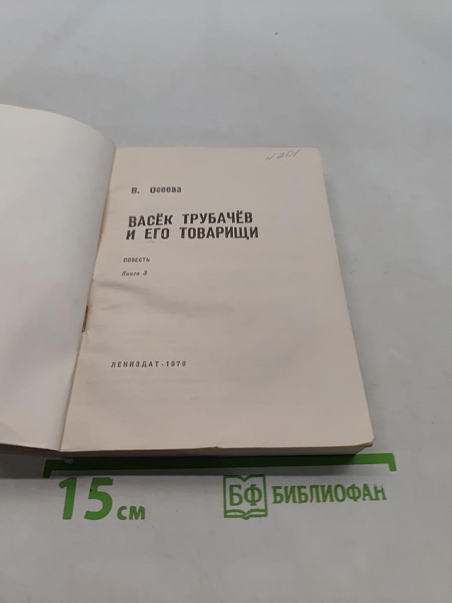 Васёк Трубачёв и его товарищи. Книга 3