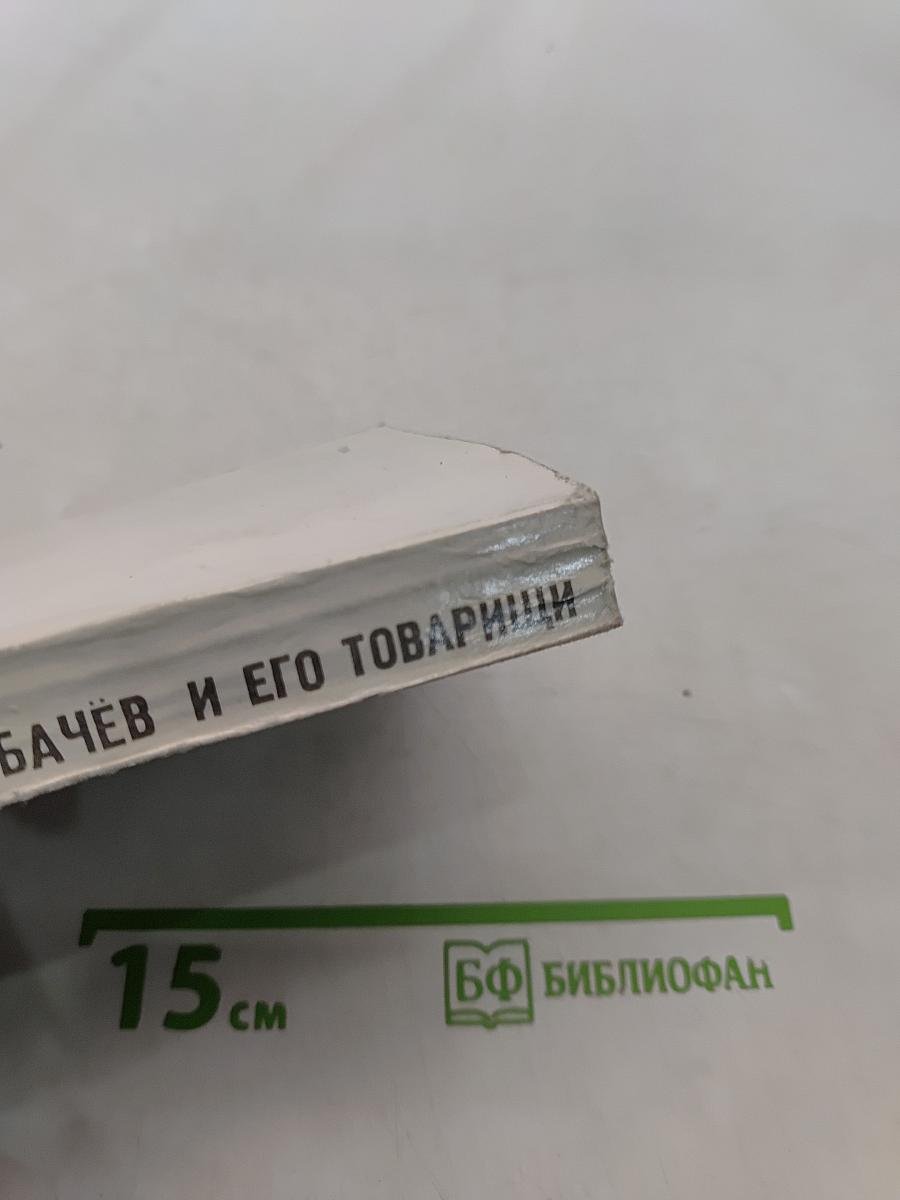 Васёк Трубачёв и его товарищи. Книга 3