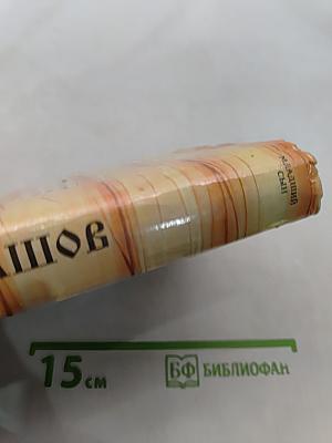 Младший сын