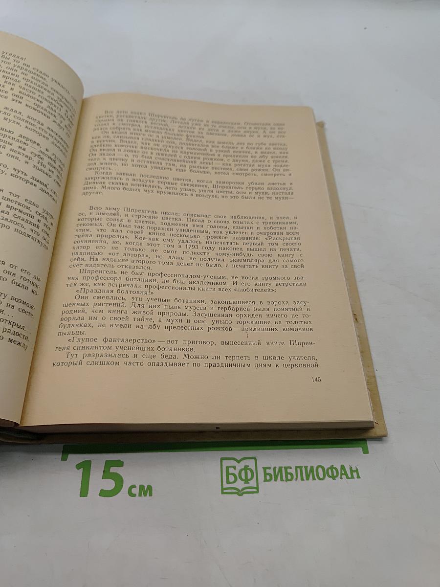 Гомункулус