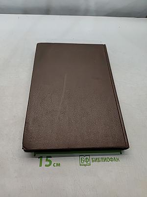 Новая толковая Библия. Том 1