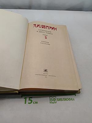 Сочинения в двух томах. Том 2. Романы, рассказы