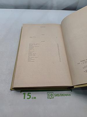 Сочинения в двух томах. Том 2. Романы, рассказы