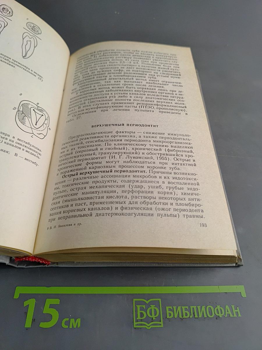 Диагностика, лечение и профилактика стоматологических заболеваний