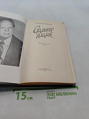 Дальнее пламя