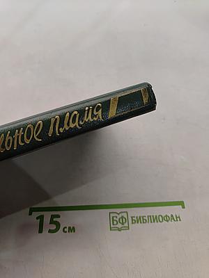 Дальнее пламя