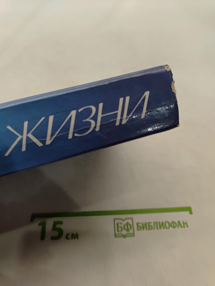 Цель жизни