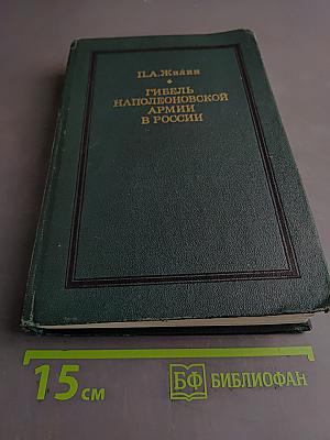 Гибель наполеоновской армии в России