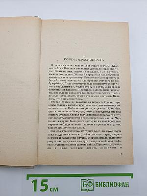 Тулузские тайны. Погоня. Желтый пес