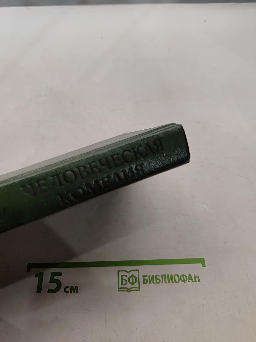 Человеческая комедия