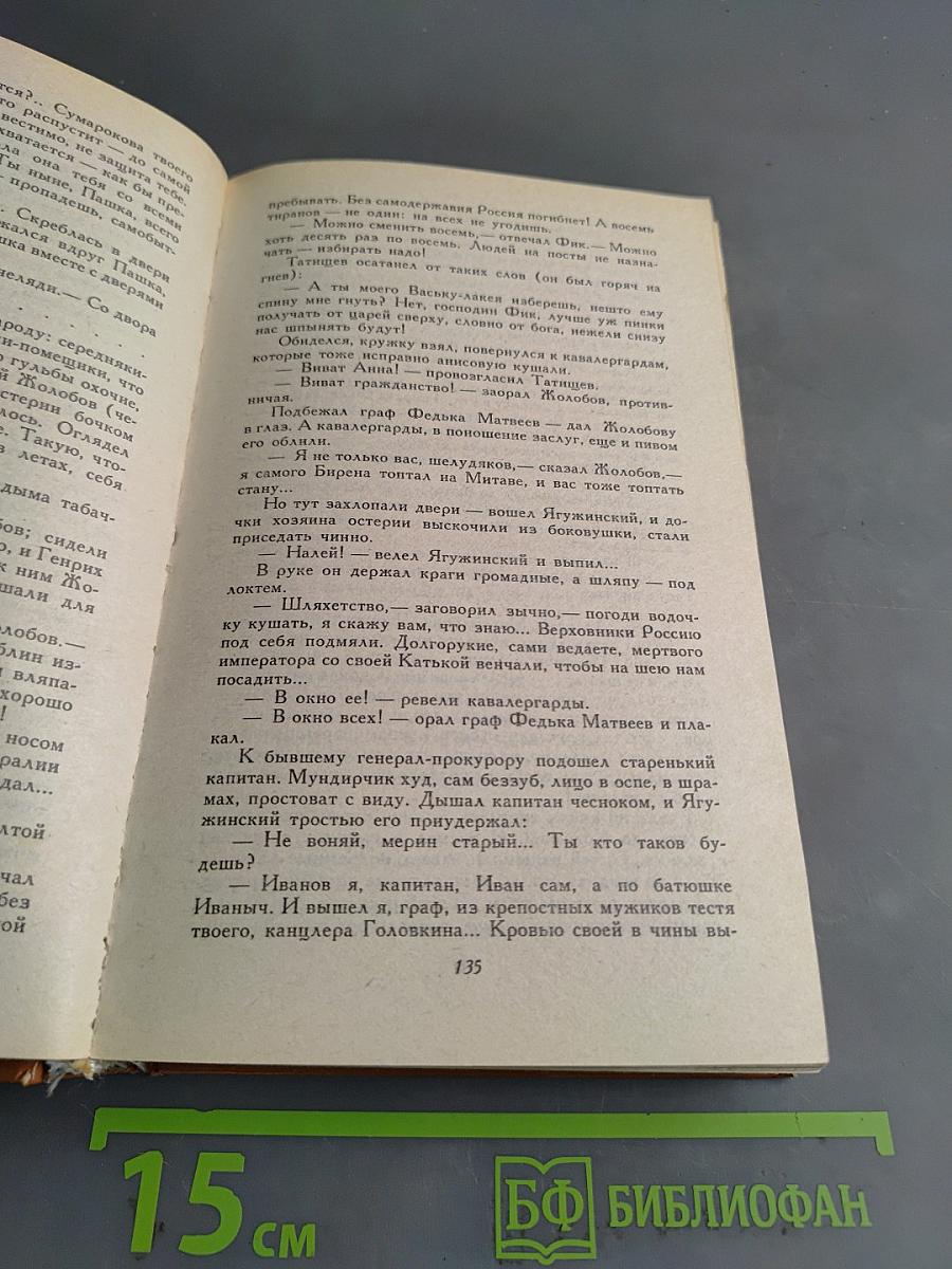 Слово и дело. Роман-хроника времён Анны Иоанновны. Книга 1. Царица престрашного зраку