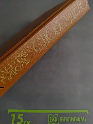 Слово и дело. Роман-хроника времён Анны Иоанновны. Книга 1. Царица престрашного зраку