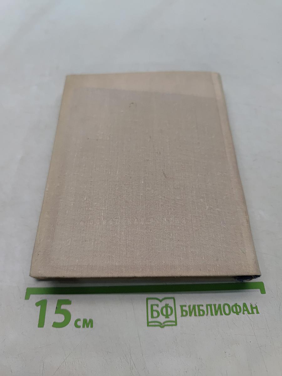 У костра лет