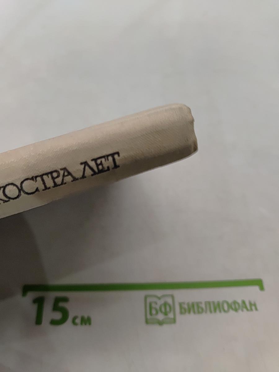 У костра лет