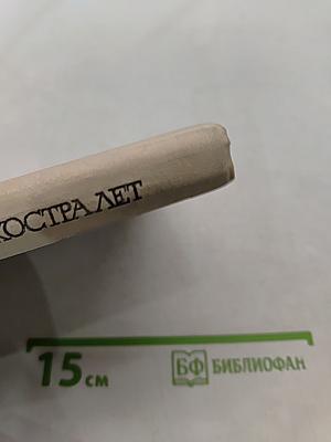 У костра лет