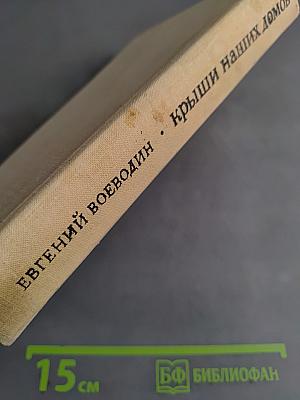 Крыши наших домов