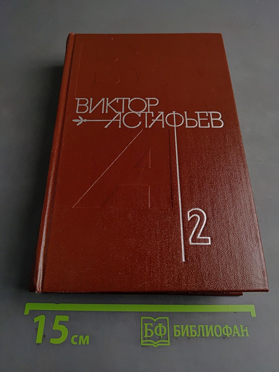 Книга 2. Кража. Рассказы