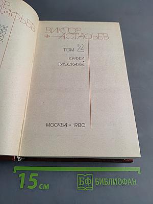 Книга 2. Кража. Рассказы
