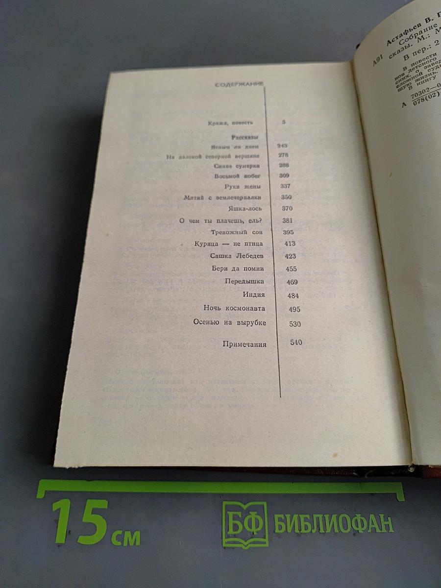 Книга 2. Кража. Рассказы