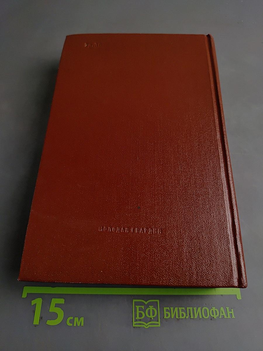 Книга 2. Кража. Рассказы