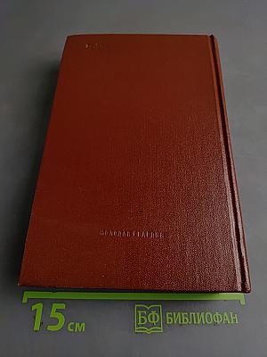 Книга 2. Кража. Рассказы