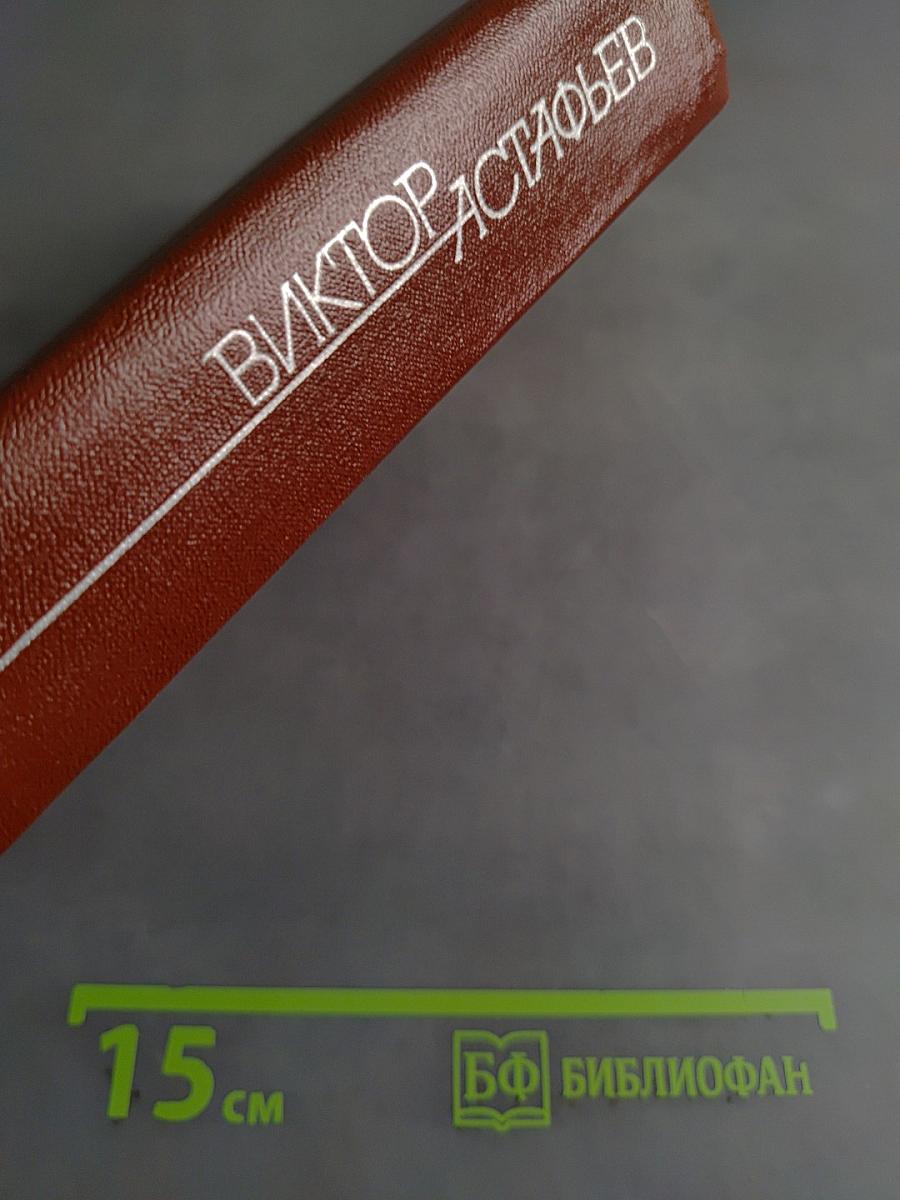 Книга 2. Кража. Рассказы