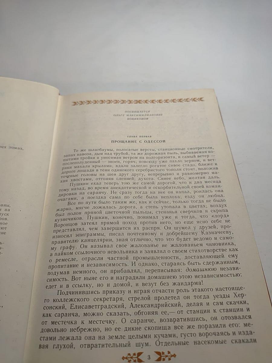 Пушкин в Михайловском