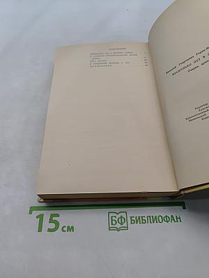 Несколько лет в деревне