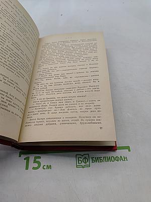 Корни твои