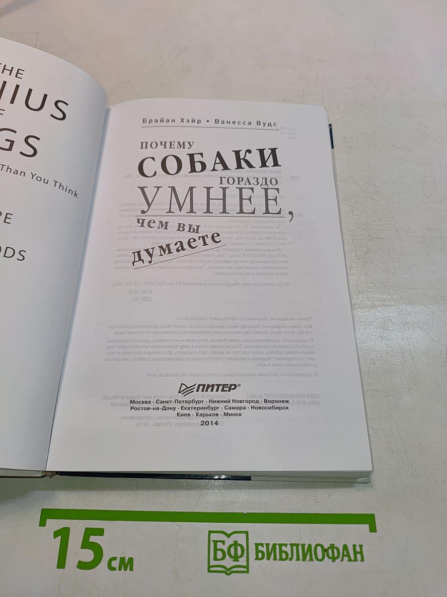 Почему собаки гораздо умнее, чем вы думаете