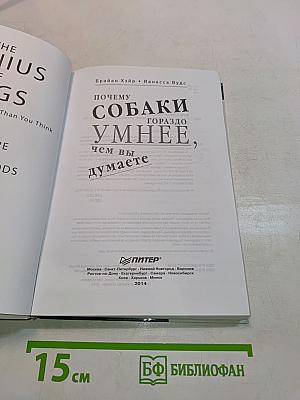 Почему собаки гораздо умнее, чем вы думаете