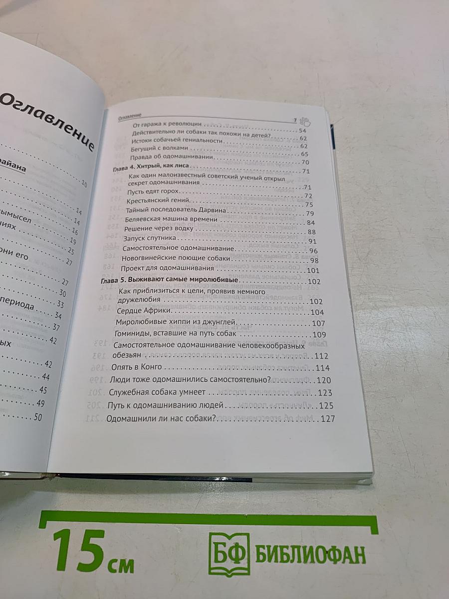Почему собаки гораздо умнее, чем вы думаете